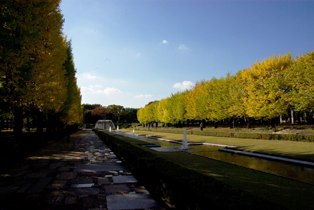 銀杏＠昭和記念公園