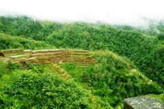 Rice terraces in Banaue 9