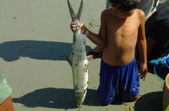 Lingayen beach 8