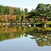 紅葉＠昭和記念公園