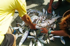 Lingayen beach 7