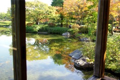 紅葉＠昭和記念公園