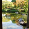 紅葉＠昭和記念公園