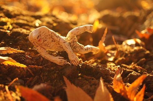 秋のジャミラ