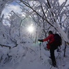 森の中の陽