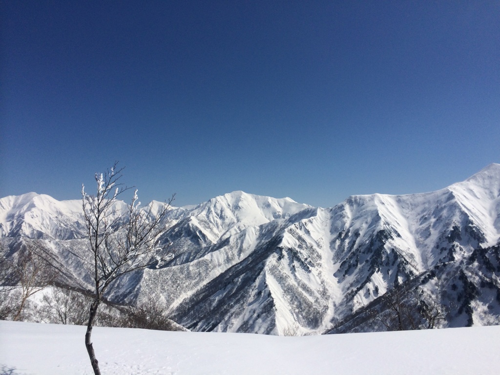 道なき山にて…だれもいない稜線