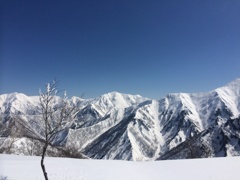 道なき山にて…だれもいない稜線