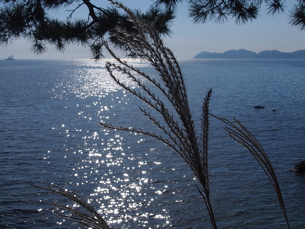 秋の海