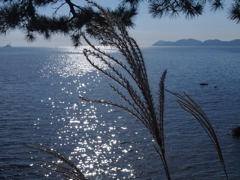 秋の海