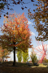 ミササガパークの紅葉