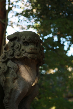 優しく見守って