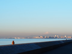 ぬこと朝日に照らされる富士、茜浜から