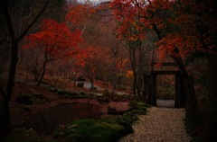 河口湖 紅葉