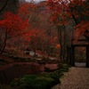 河口湖 紅葉
