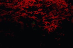 河口湖 紅葉