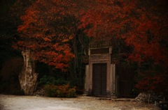 河口湖 紅葉