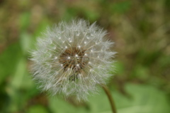 027