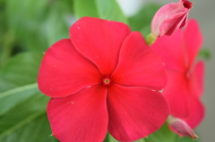 029