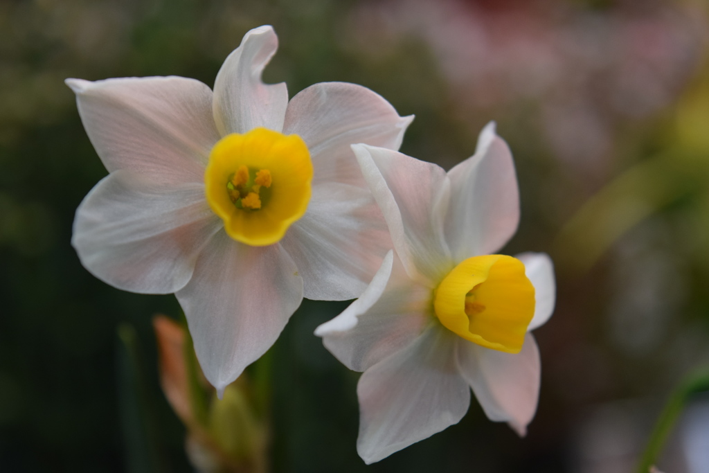 027