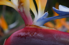 048