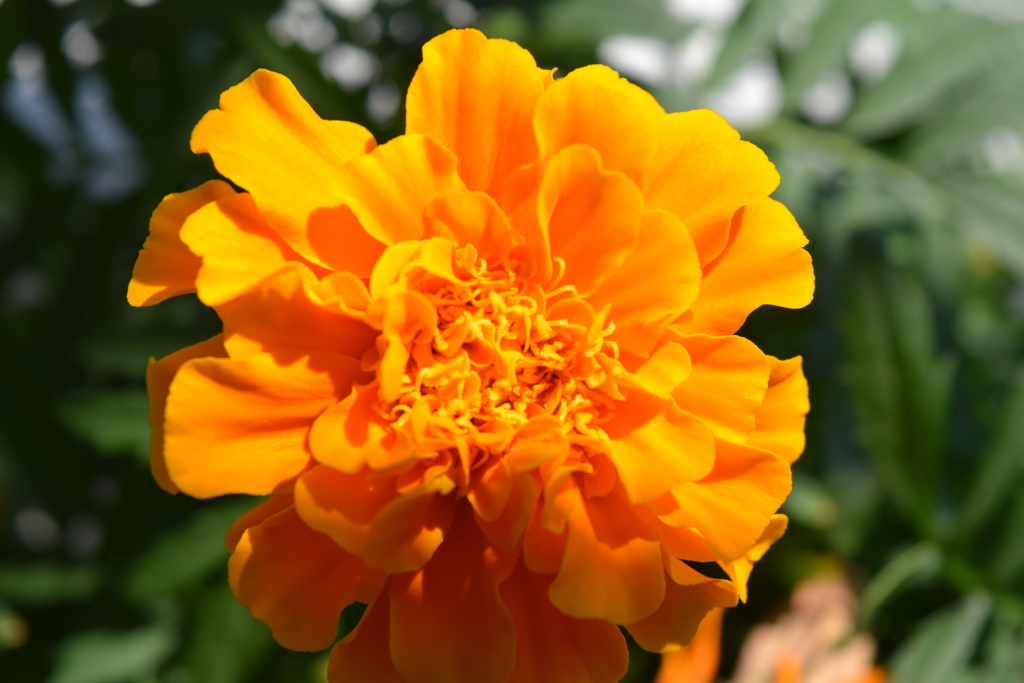 019
