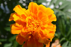 019