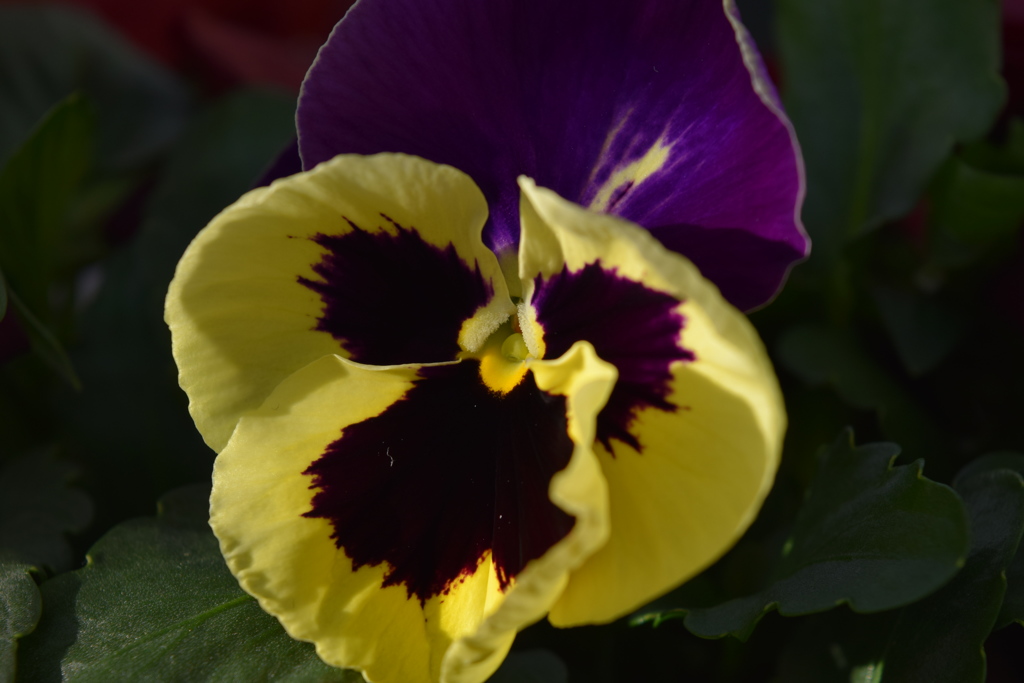 089