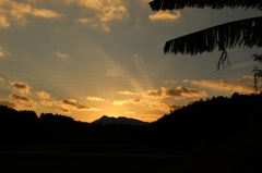 夕日
