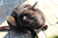 食べ物くれなきゃ相手にしないぞ