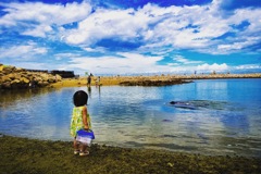 海は広いな大きいな