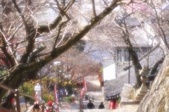 お正月参り