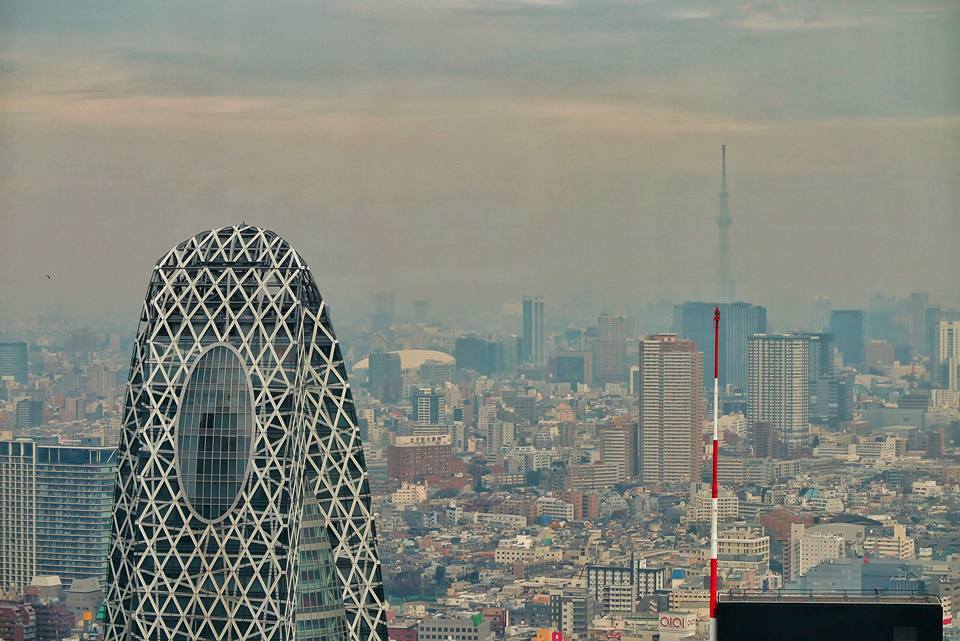 東京都庁展望