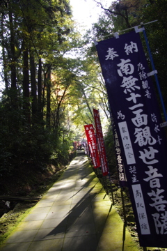 木漏れ日の道