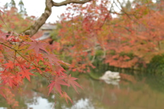 永観堂　禅林寺-3