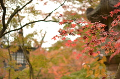 永観堂　禅林寺-2