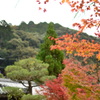 永観堂　禅林寺-5