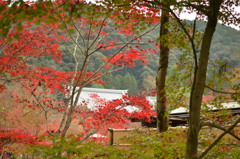 永観堂　禅林寺-1