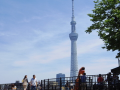恐竜現る