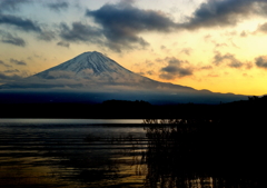 Fuji