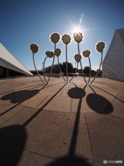 Adelaide festival Centre