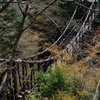 奥かずら橋