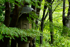 晩夏の徳川園①