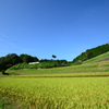 玉立橋の下