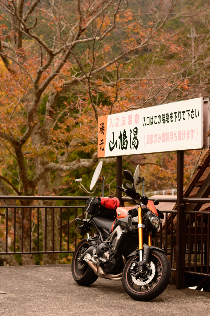 入之波温泉・山鳩湯