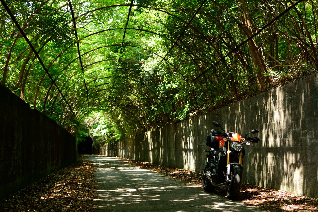 バイクと緑の回廊
