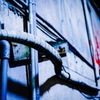 Dark cityⅤ