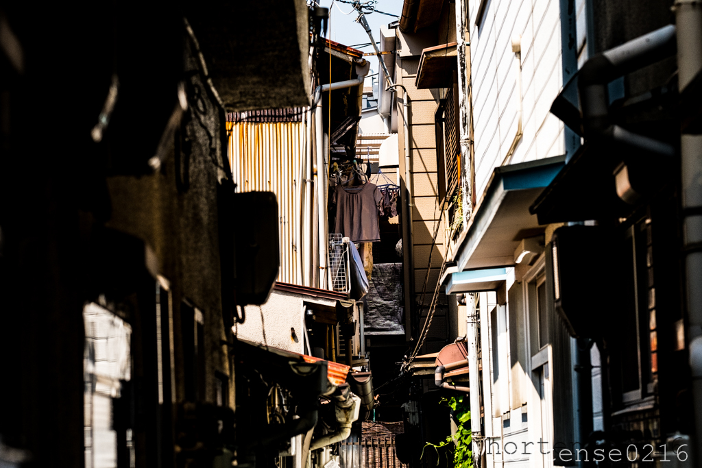 路地裏の生活空間