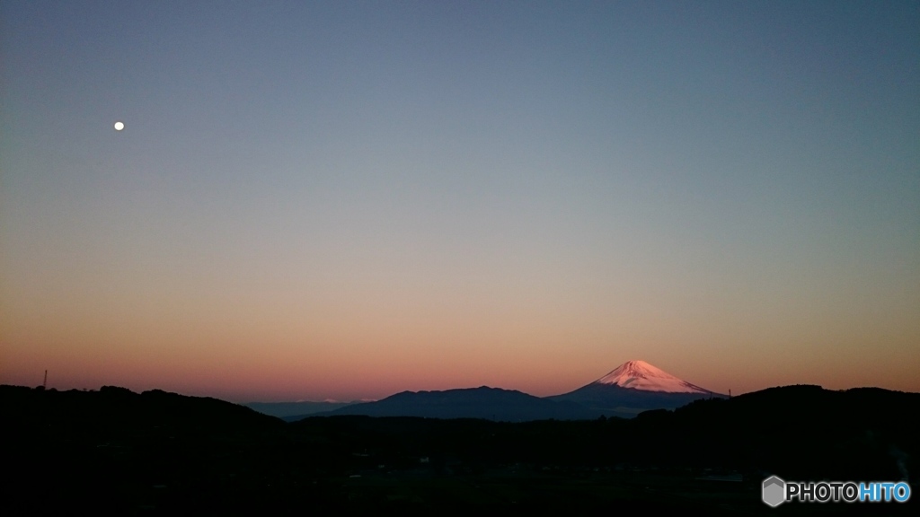 aviary-image-1448660687123