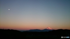 aviary-image-1448660687123