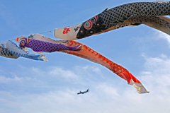 蒼天と鯉